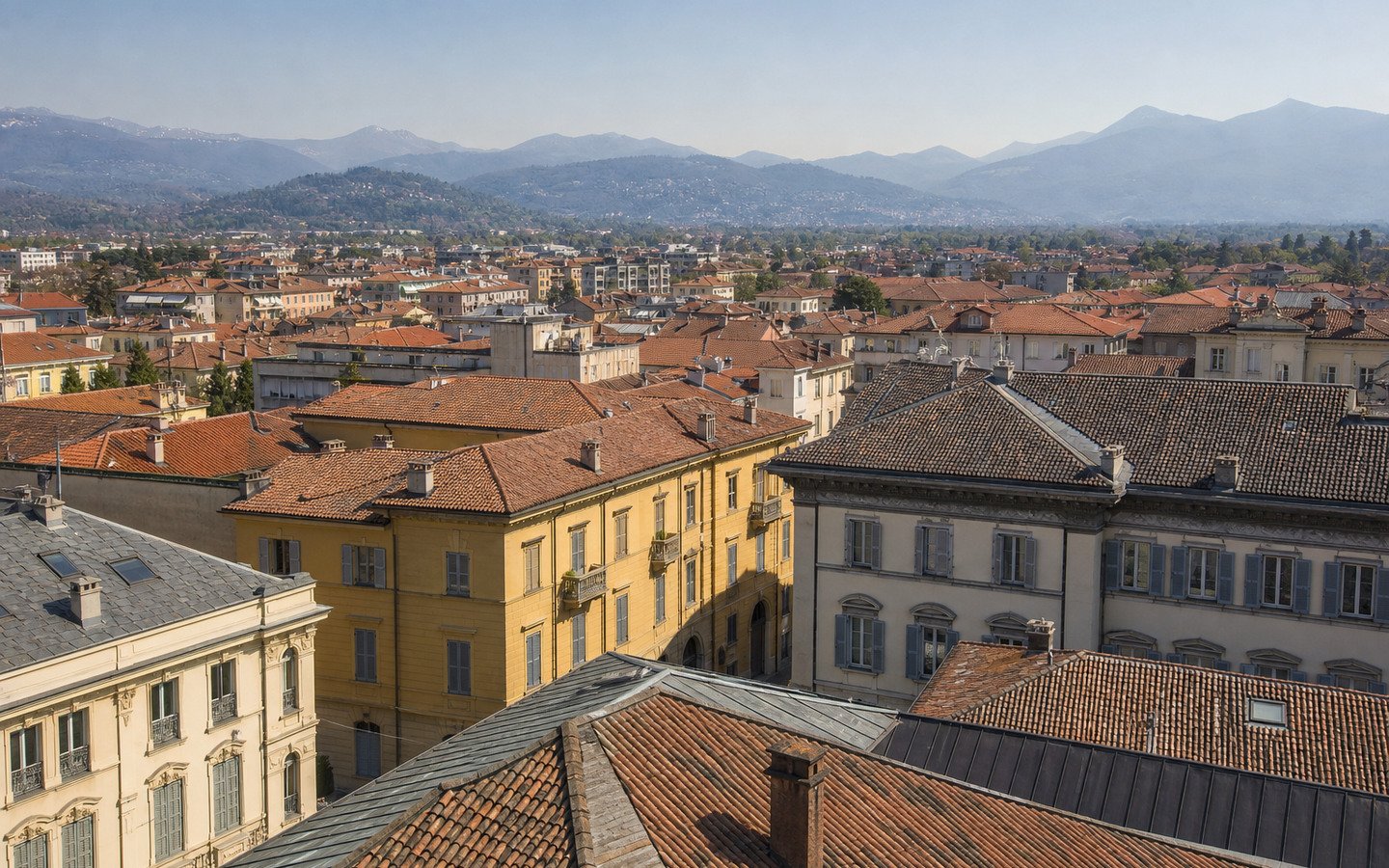 Roofscape in Italy