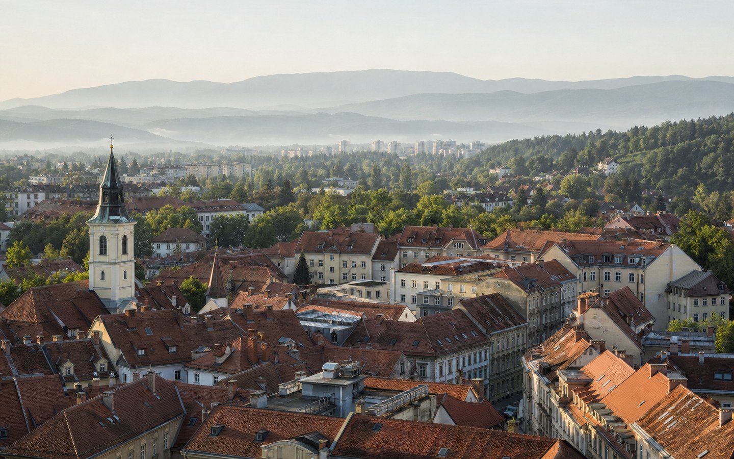 Roofscape in Slovenia