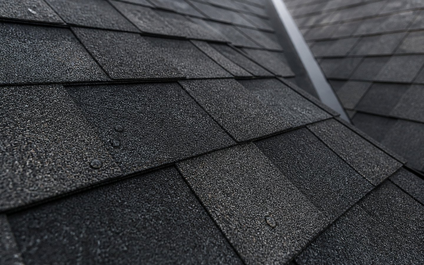 Bitumen shingle roof covering